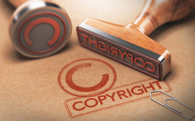 The Copyright Amendment Bill: A white elephant holding a double-edged sword